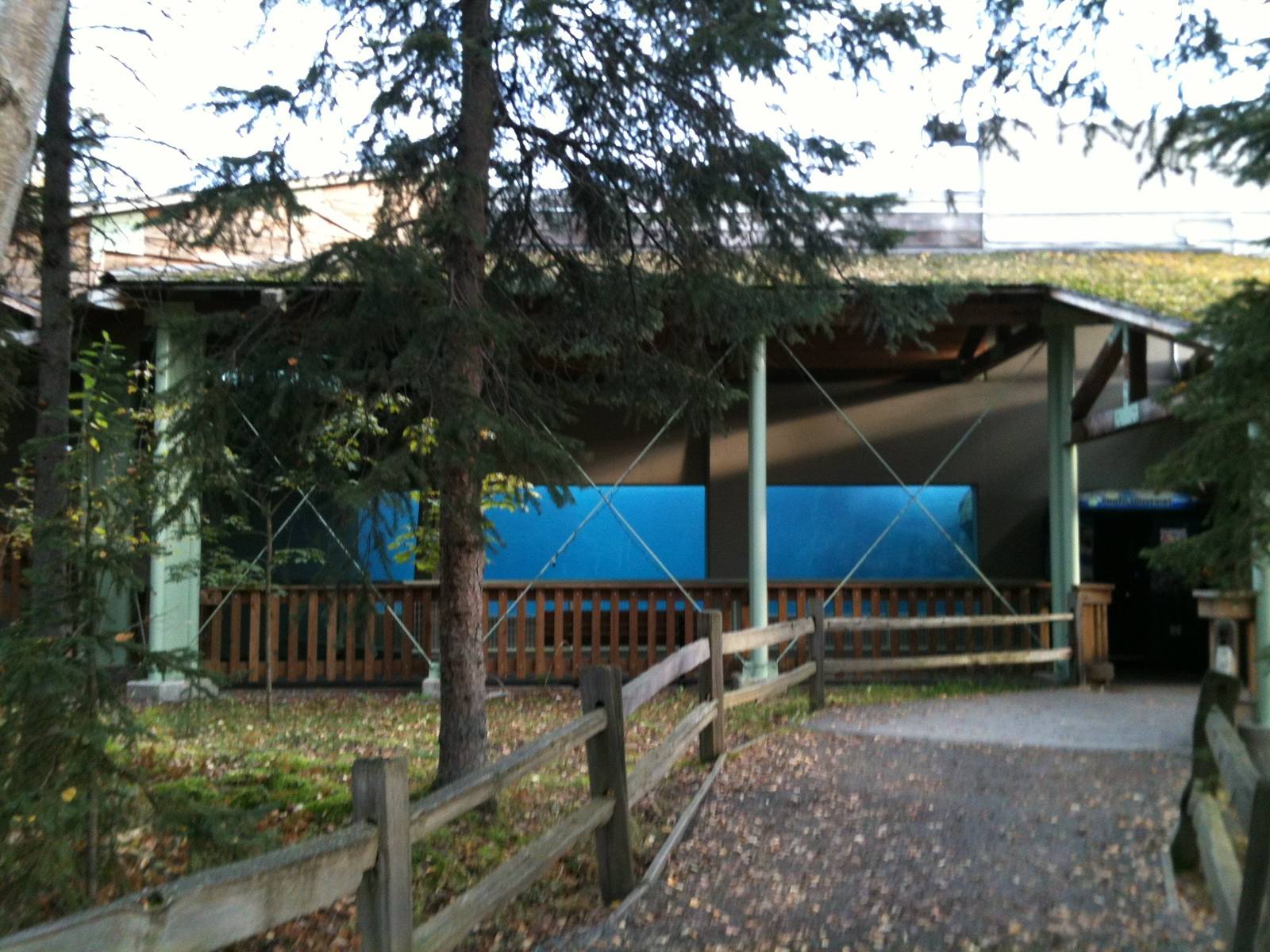 Polar Bear Underwater Viewing