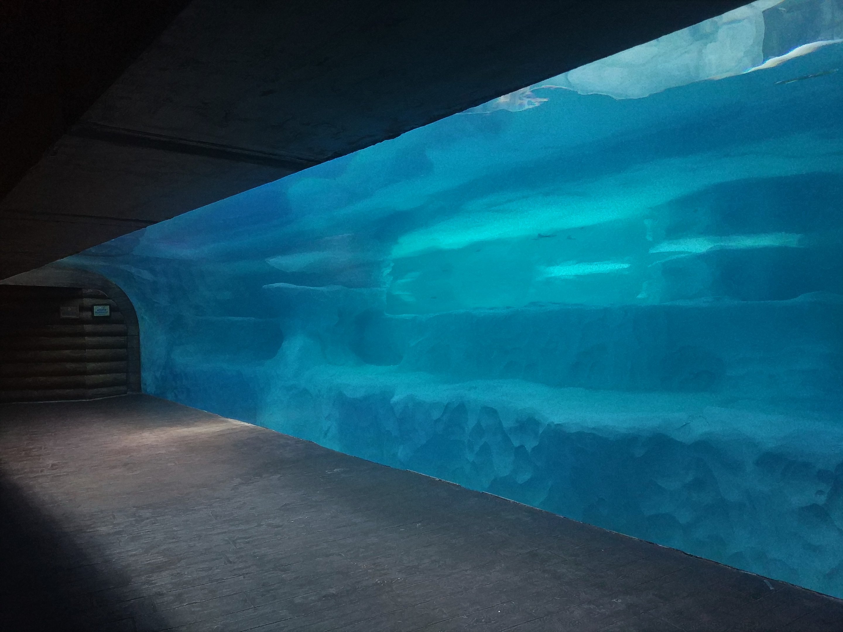 Polar Bear Underwater Viewing