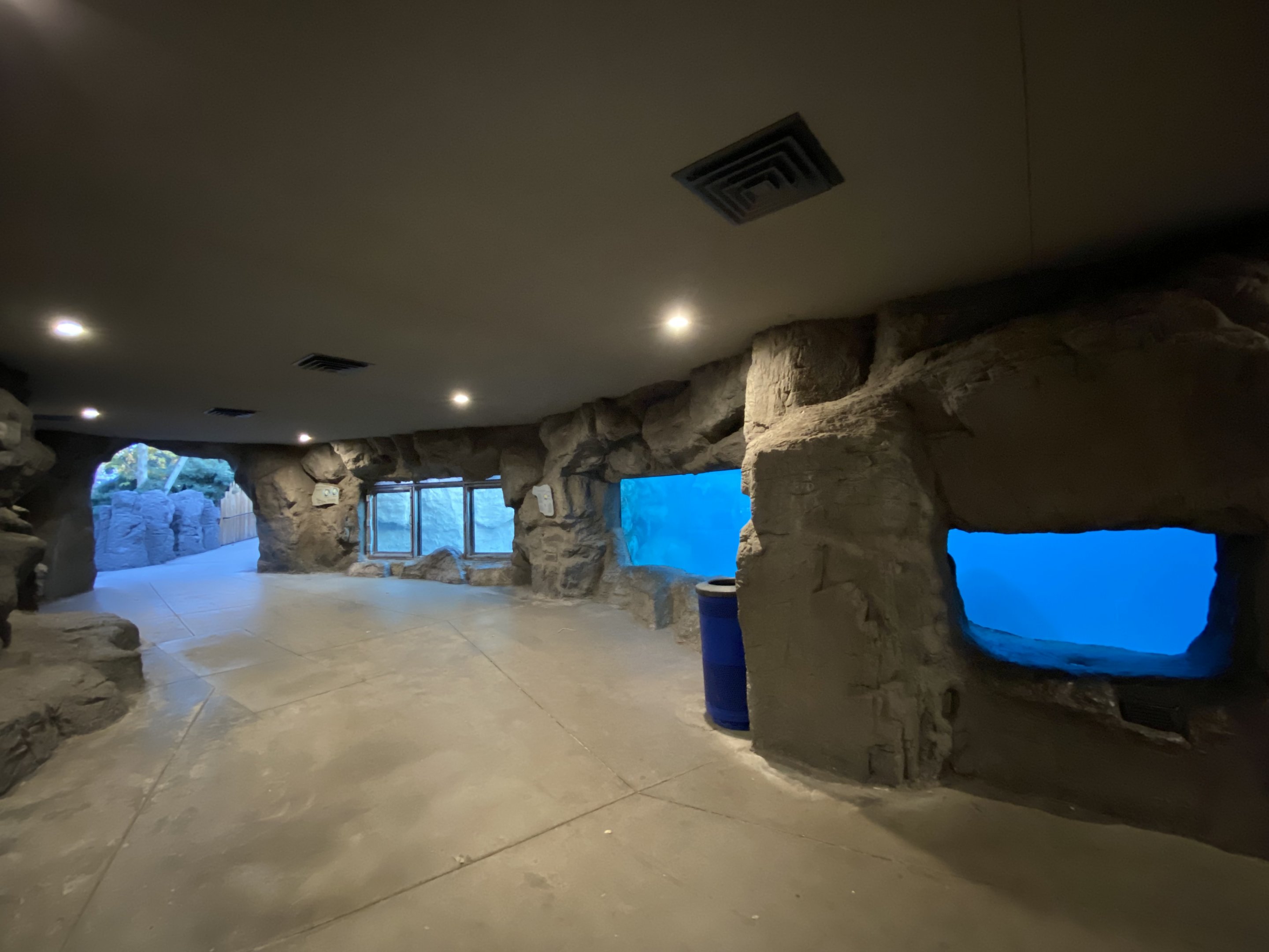 Polar Bear Underwater Viewing