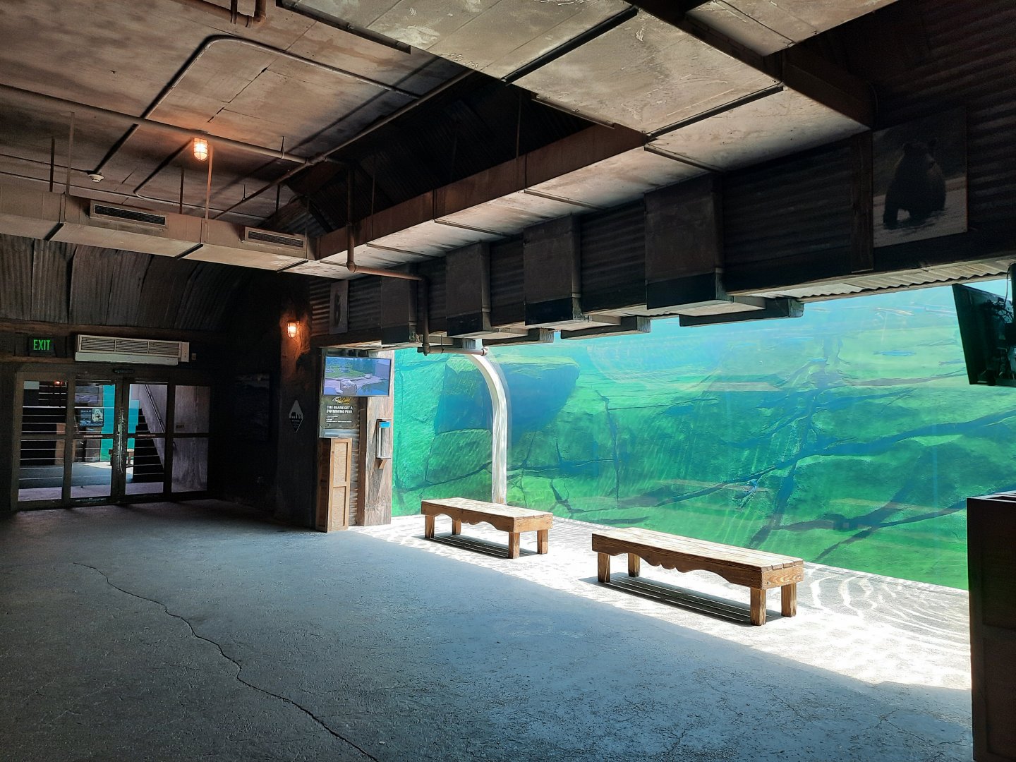 Polar Bear Underwater Viewing