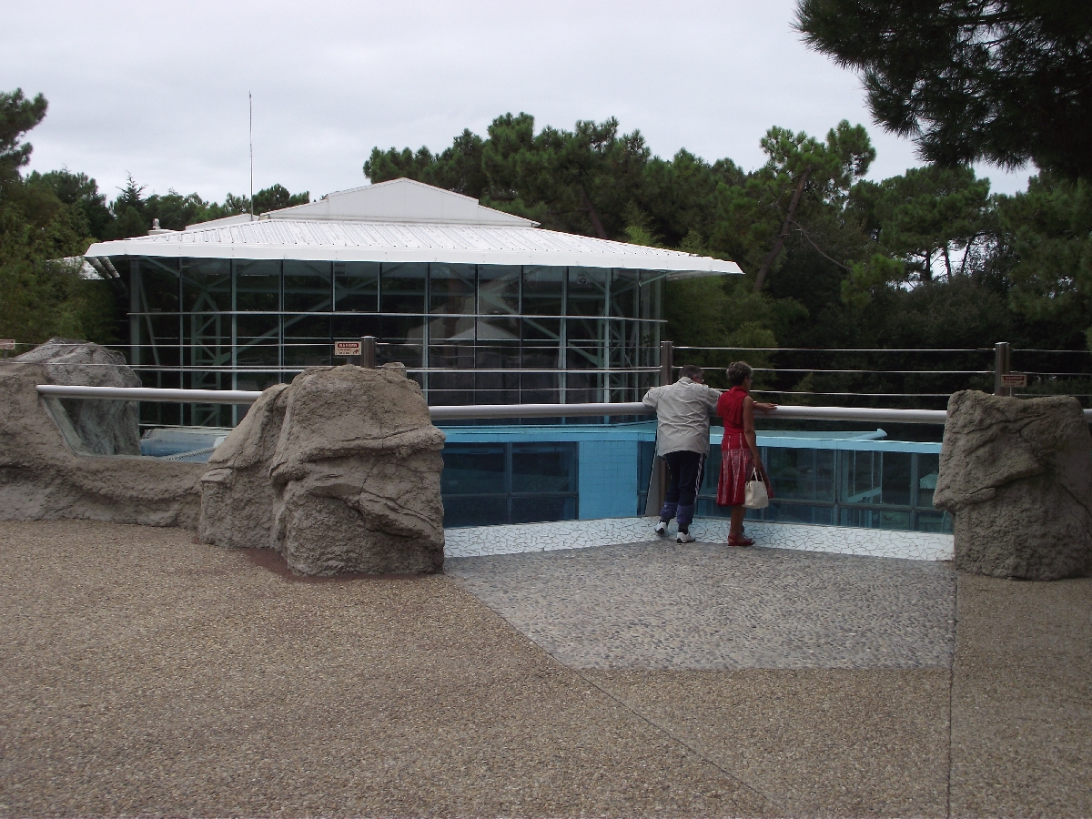 Polar Bear Upper Viewing Area #1