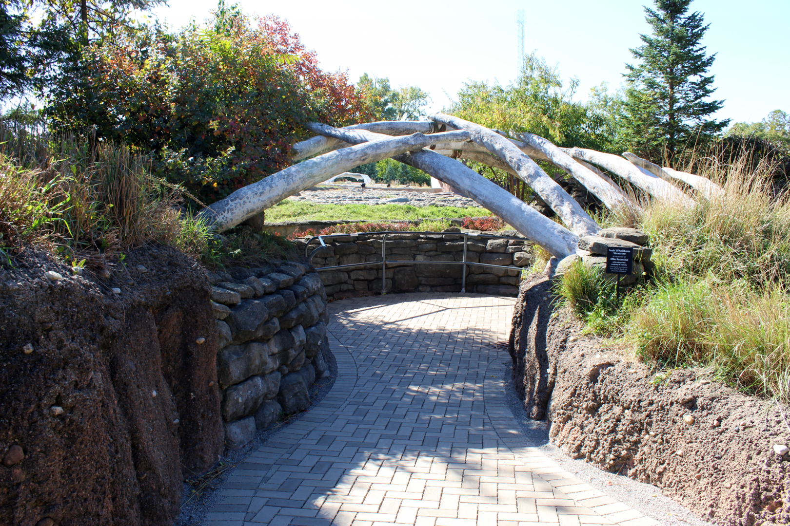 Polar Bear Viewing - Arctic Ring of Life
