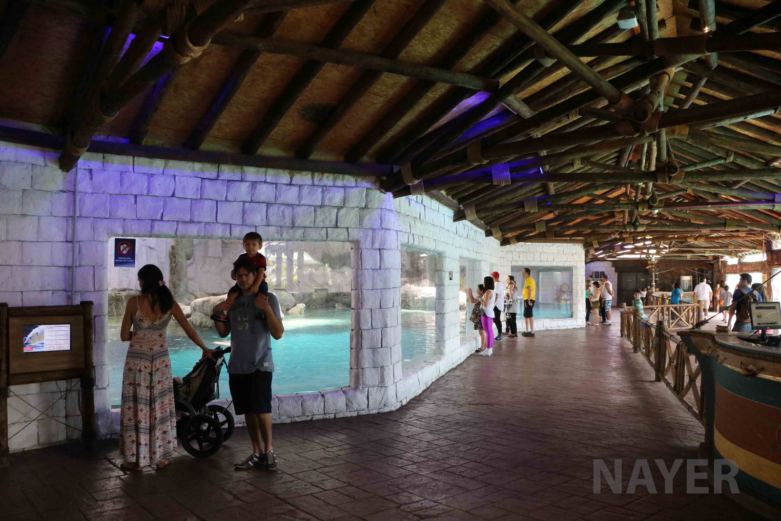 Polar bear viewing area, April 2016