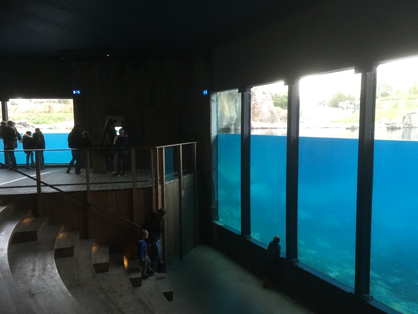 Polar bear viewing area