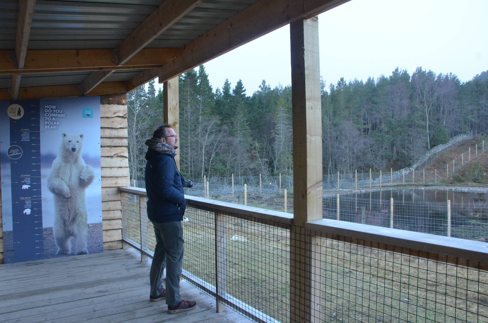 Polar Bear Viewing at Highland WP, 10/02/16