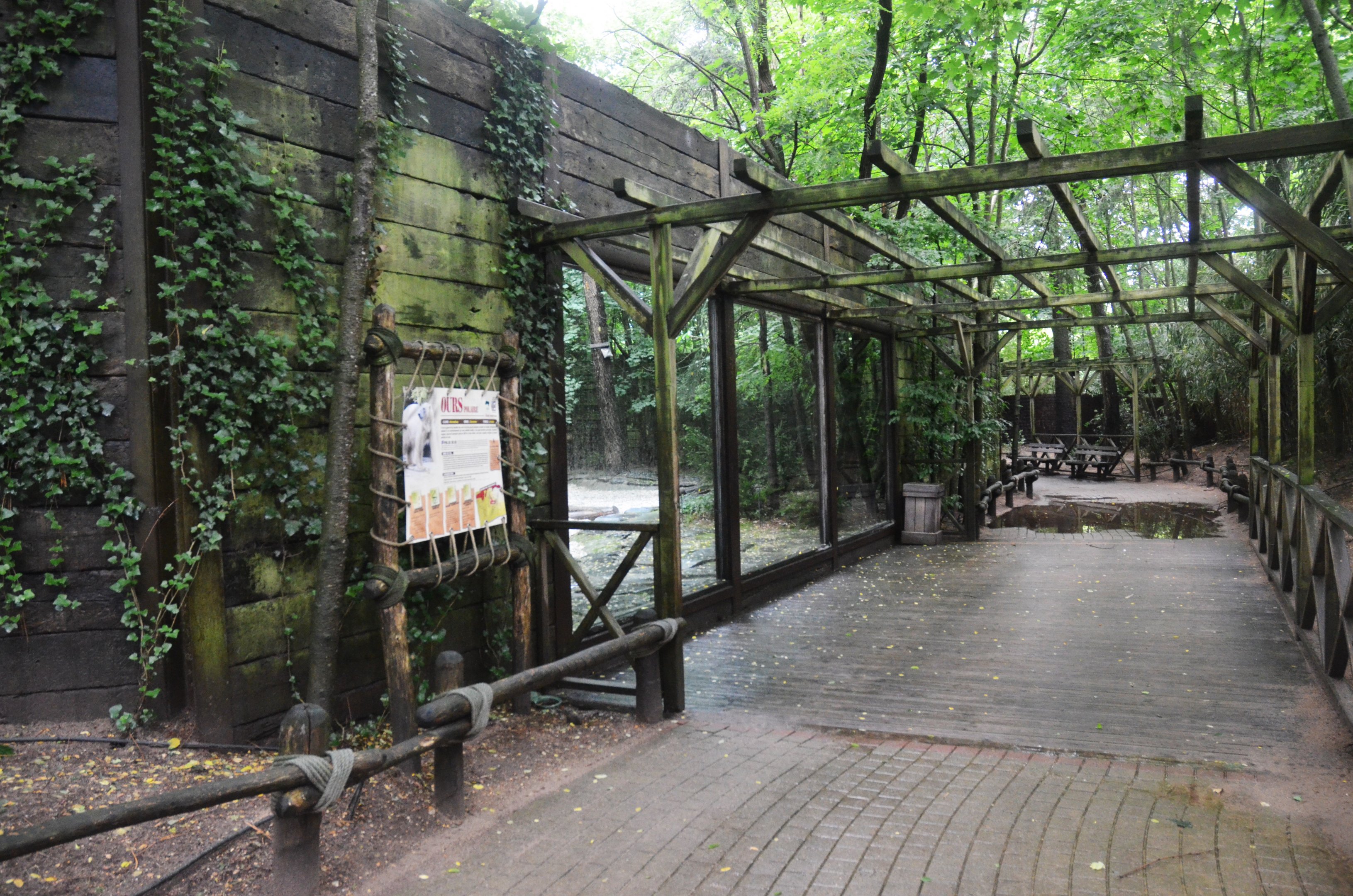 Polar Bear Viewing at La Flèche, 11/06/18
