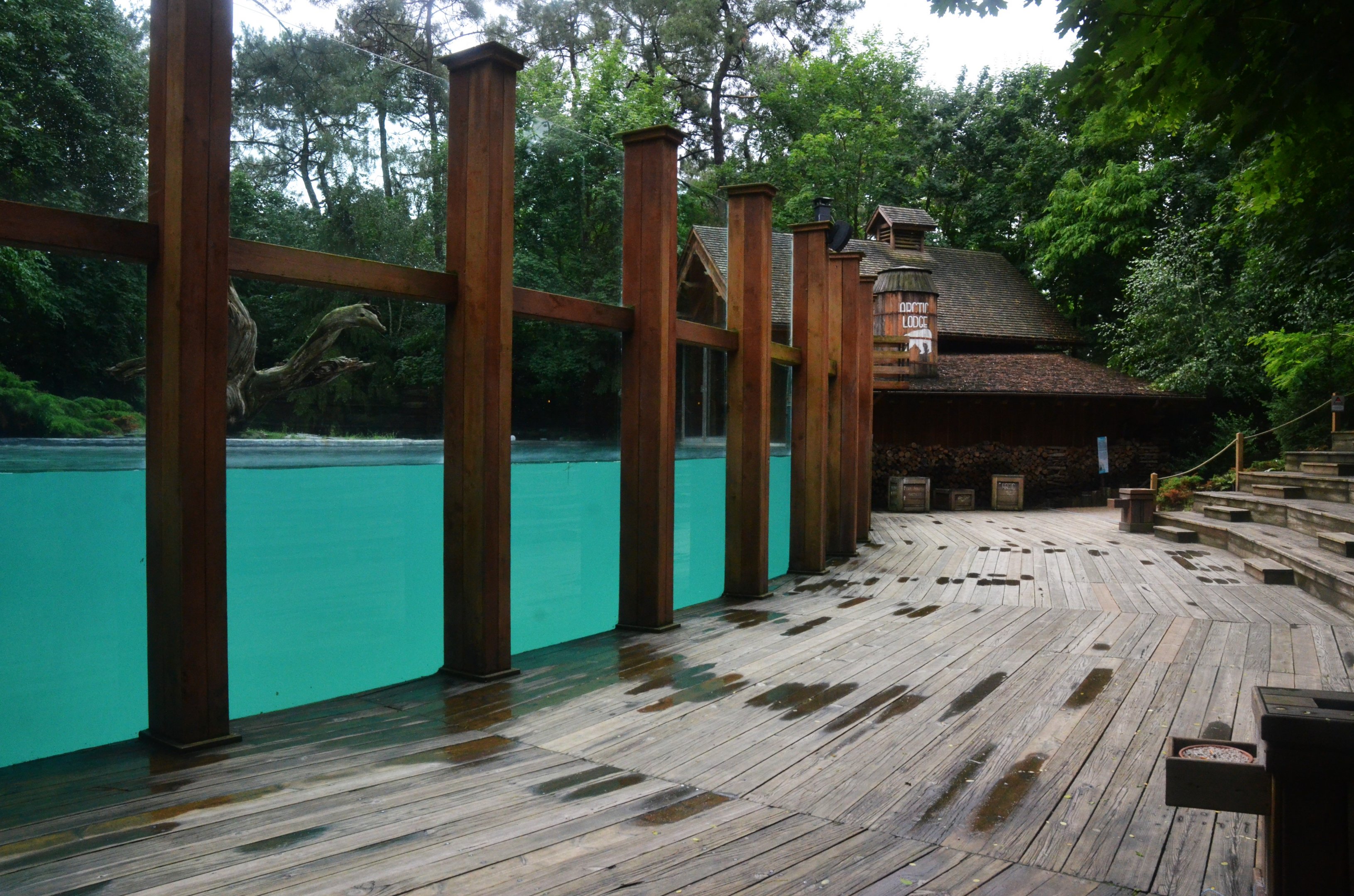 Polar Bear Viewing at La Flèche, 11/06/18