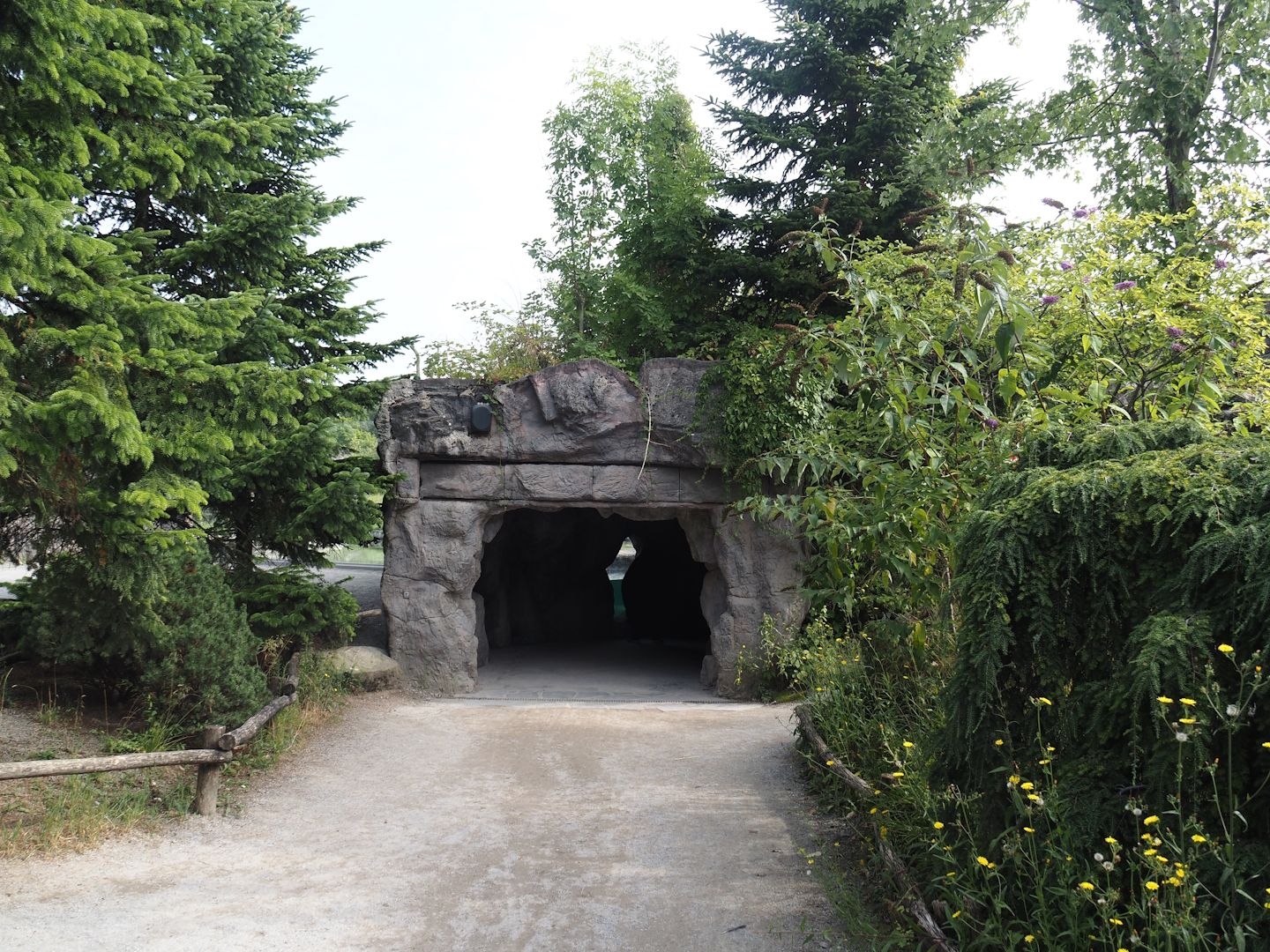 Polar bear viewing cave, 2024-08-05