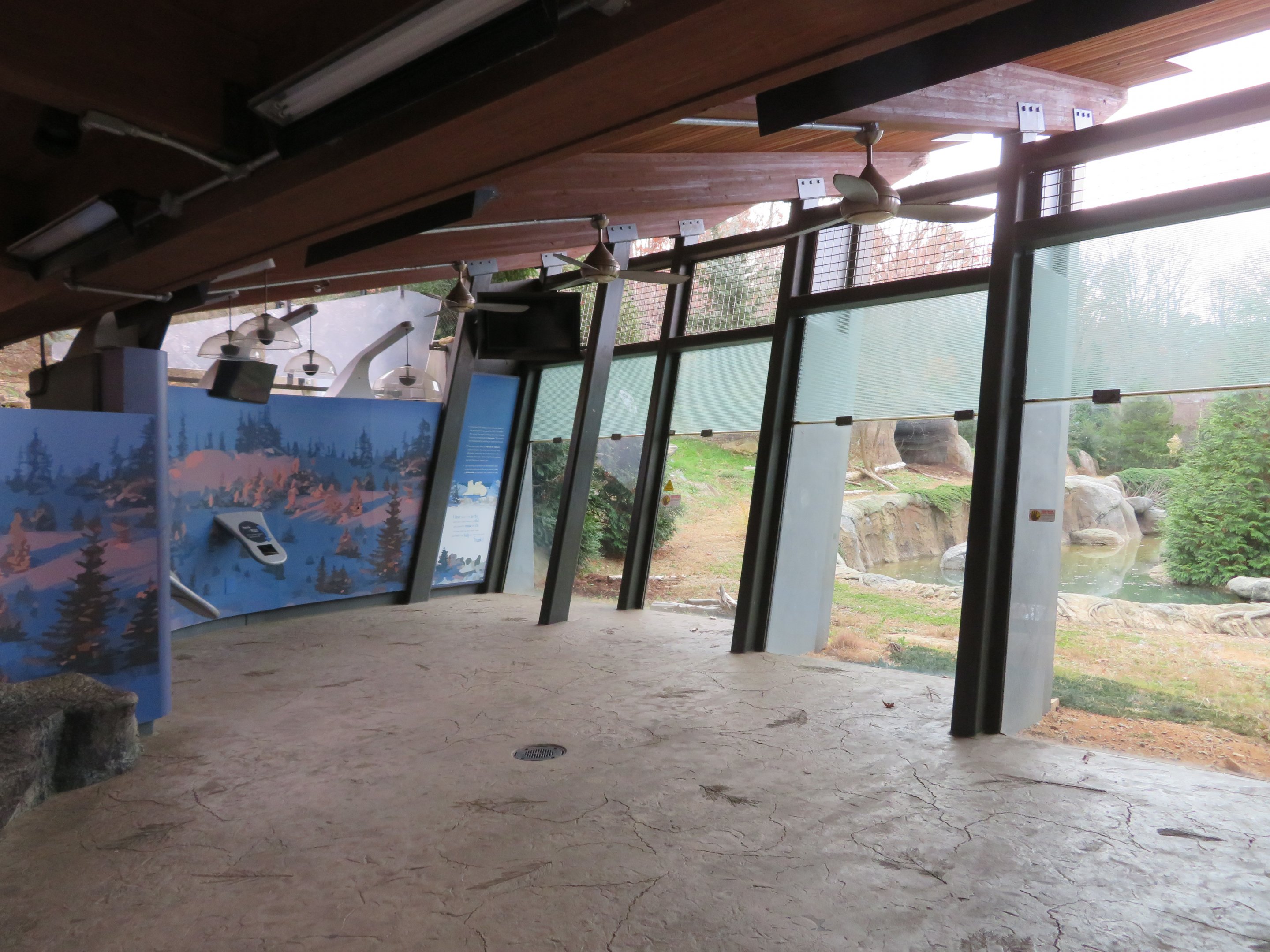 Polar Bear Viewing Window