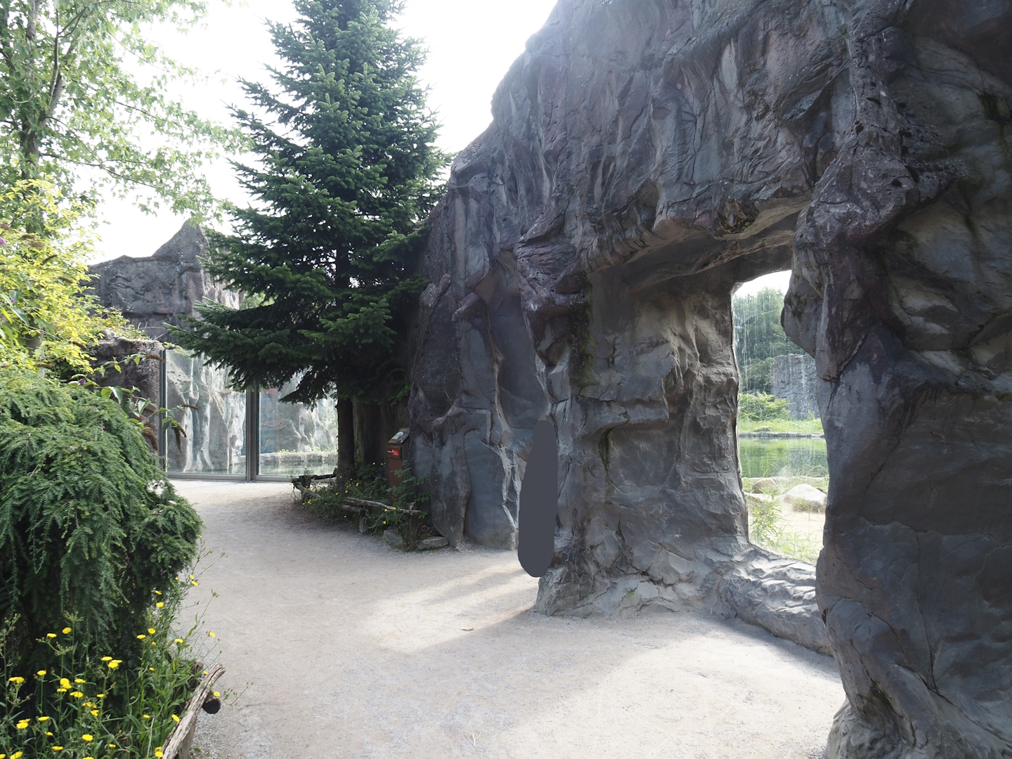 Polar bear viewing windows, 2024-08-05