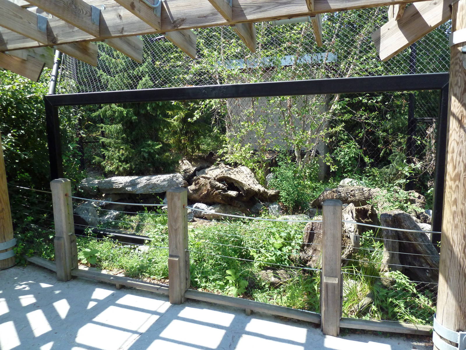 Polar Bear Watch - Arctic Fox Exhibit