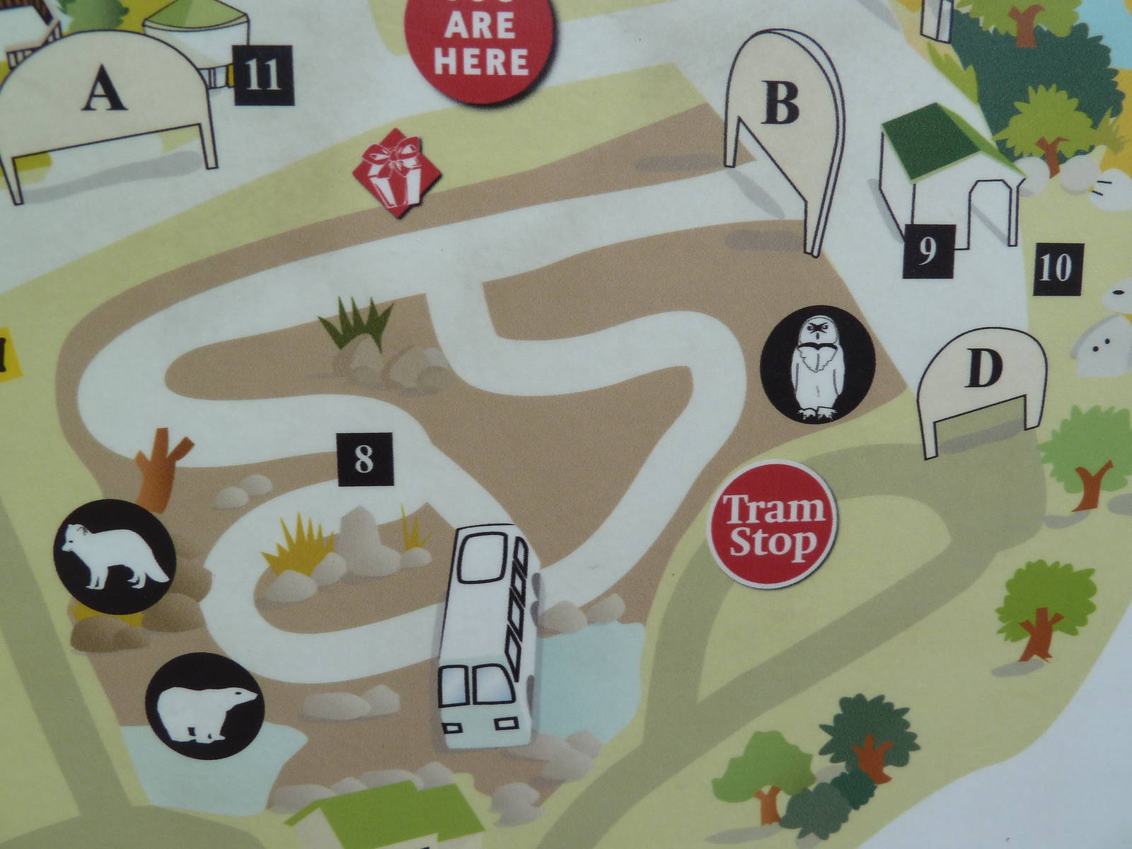 Polar Bear Watch - Map