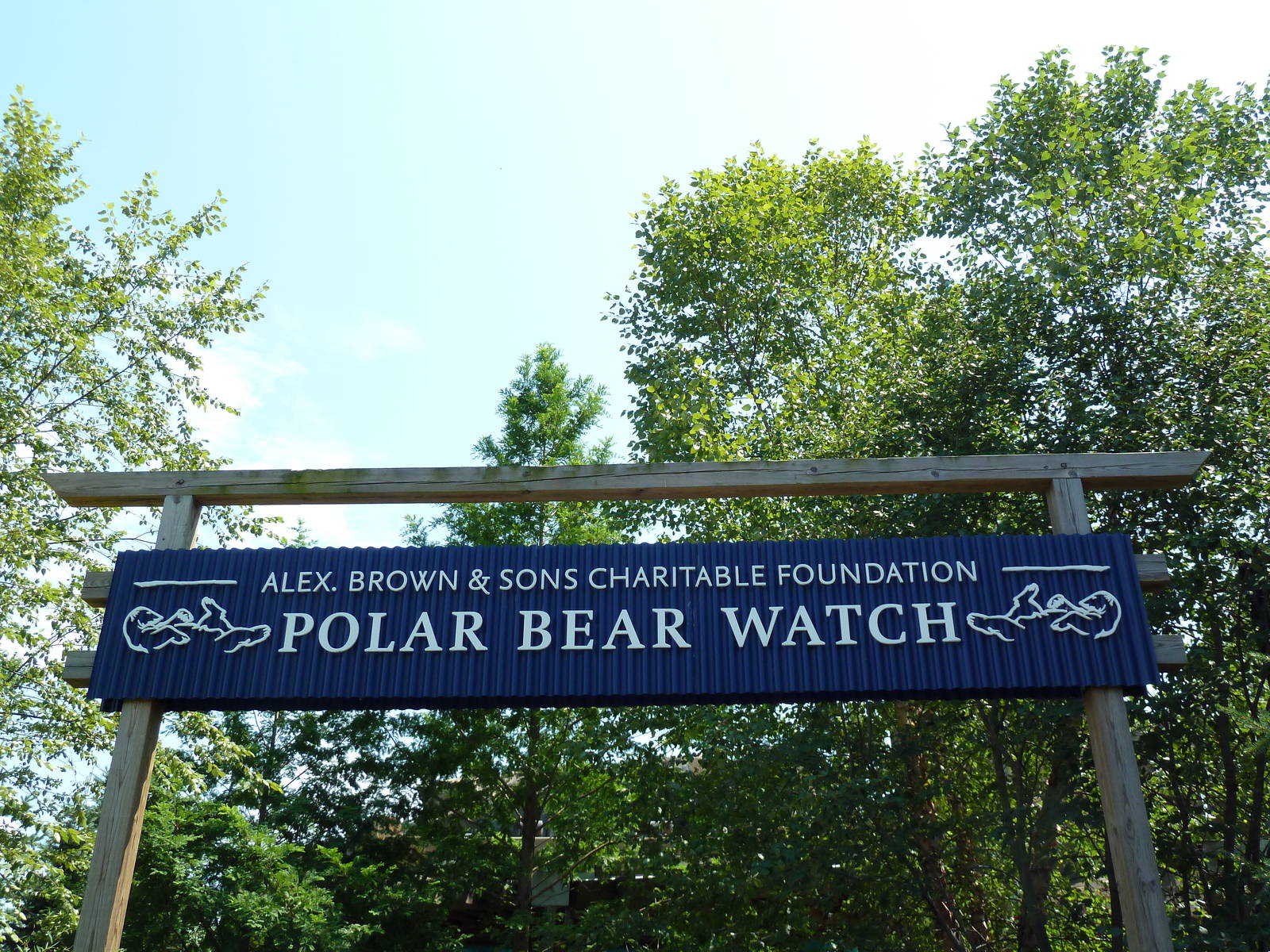 Polar Bear Watch - Sign