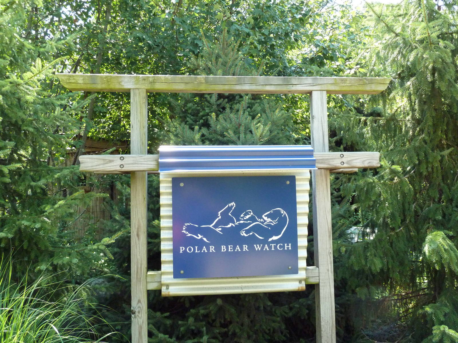 Polar Bear Watch - Sign