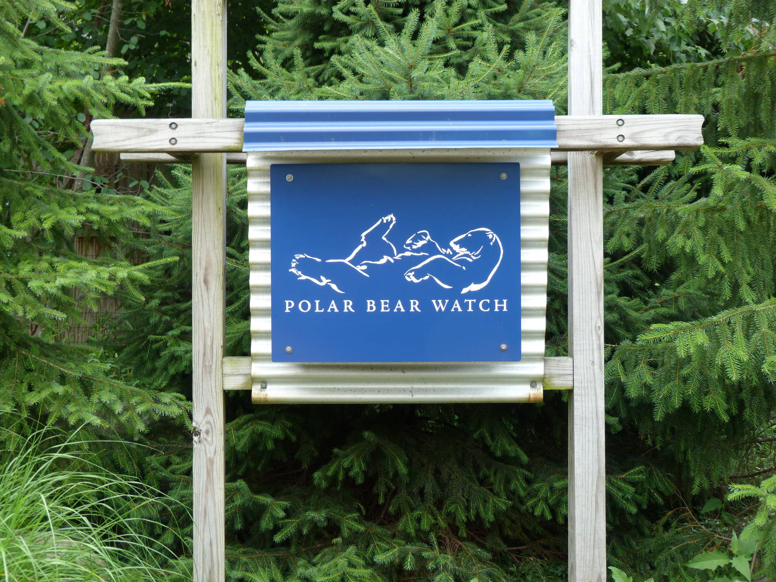Polar Bear Watch Sign