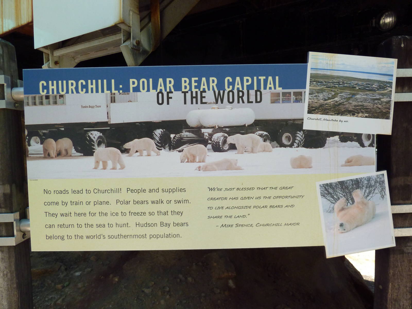 Polar Bear Watch - Signage