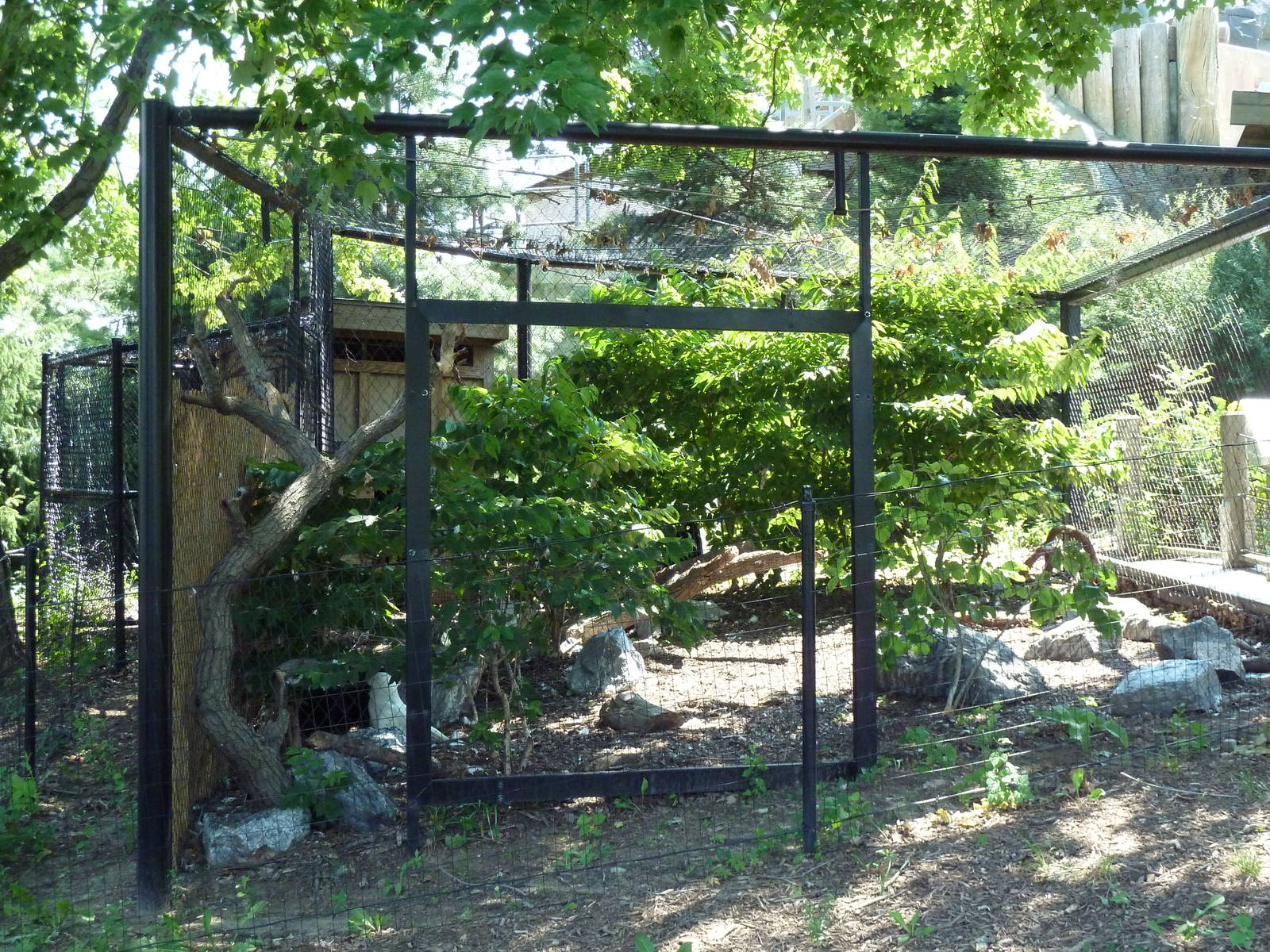 Polar Bear Watch - Snowy Owl Exhibit