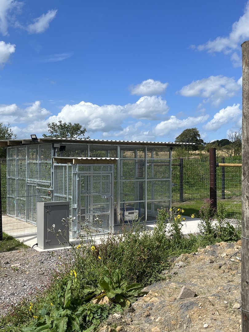 Polar Bear Weighing Station