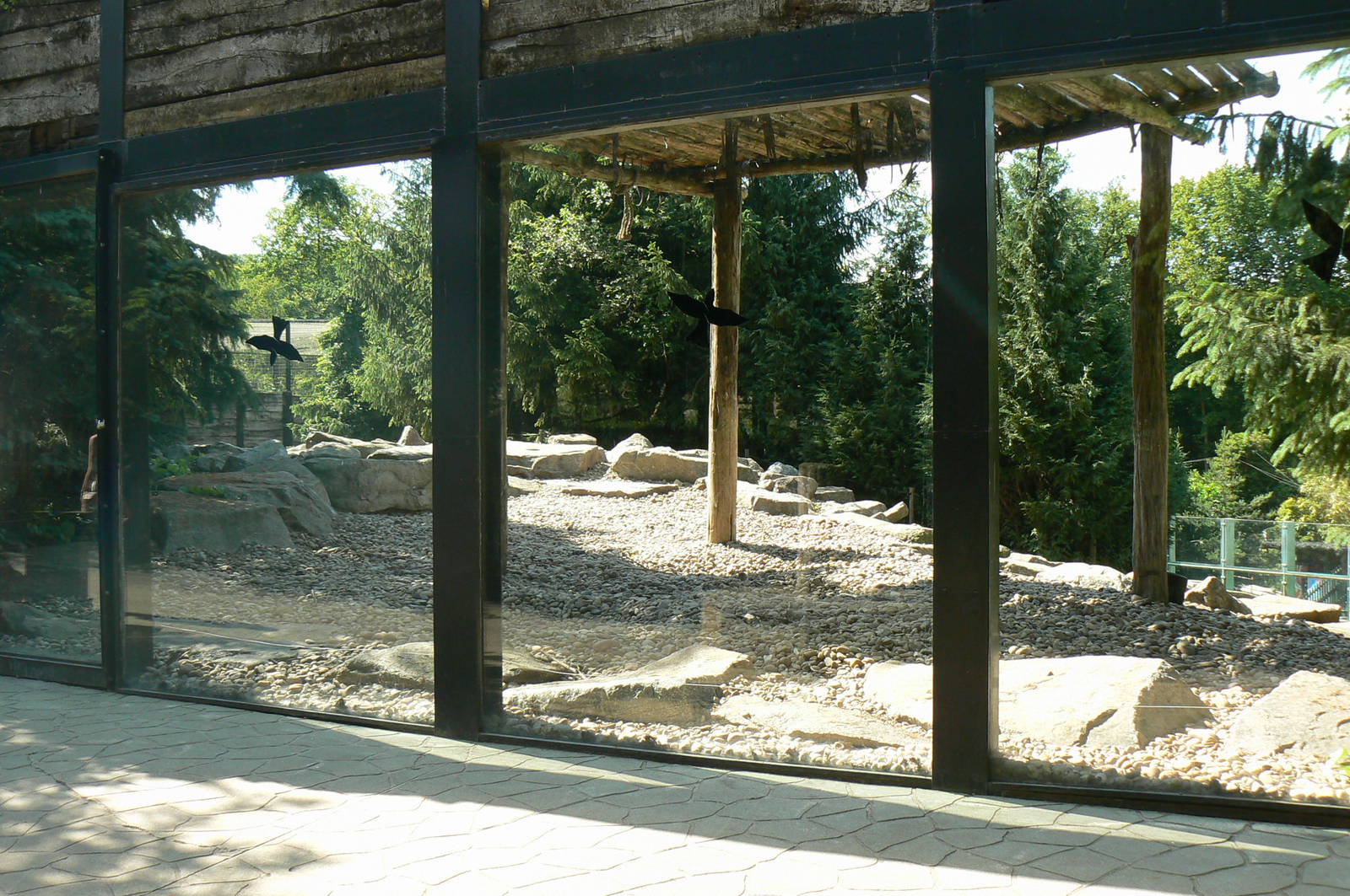 Polar bears enclosure - ground part