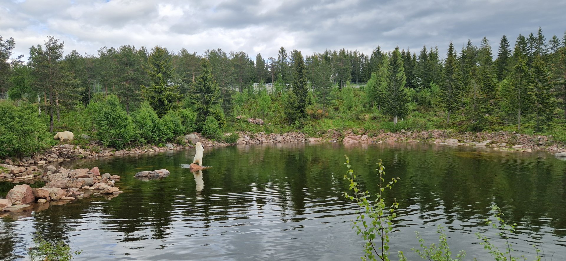 Polar Bears enclosure
