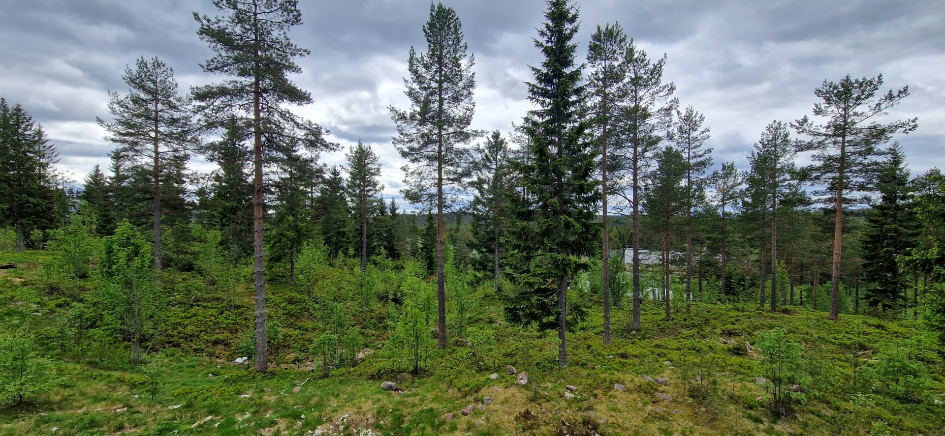 Polar Bears enclosure
