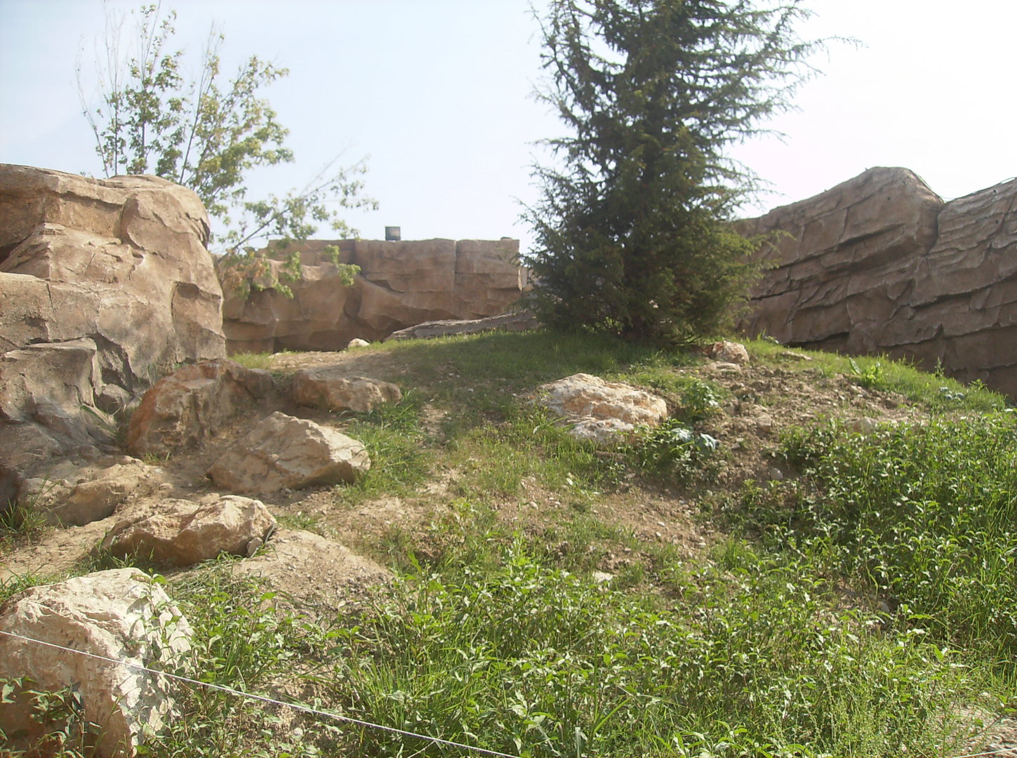 Polar bears exhibit - 2010