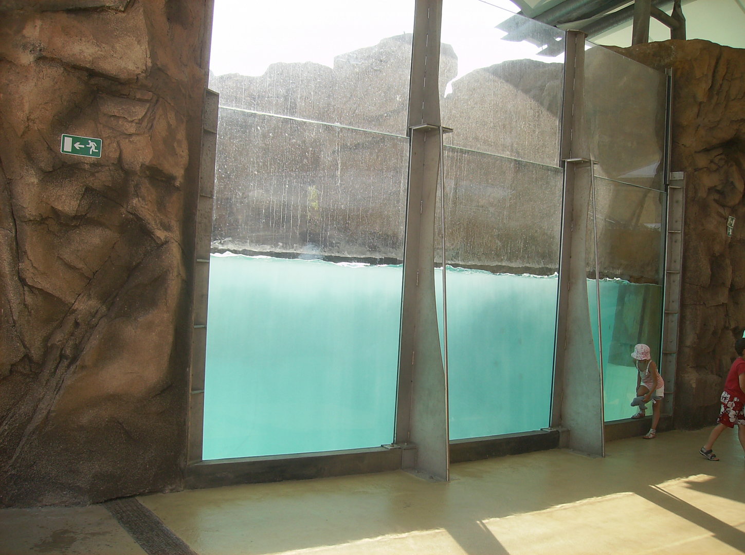 Polar bears exhibit - 2010