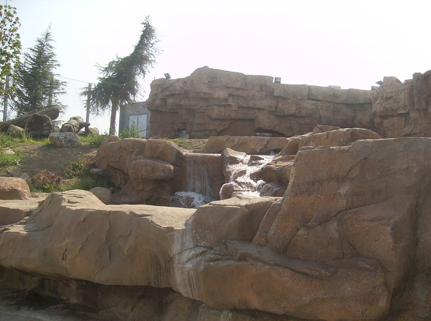 Polar bears exhibit - 2010