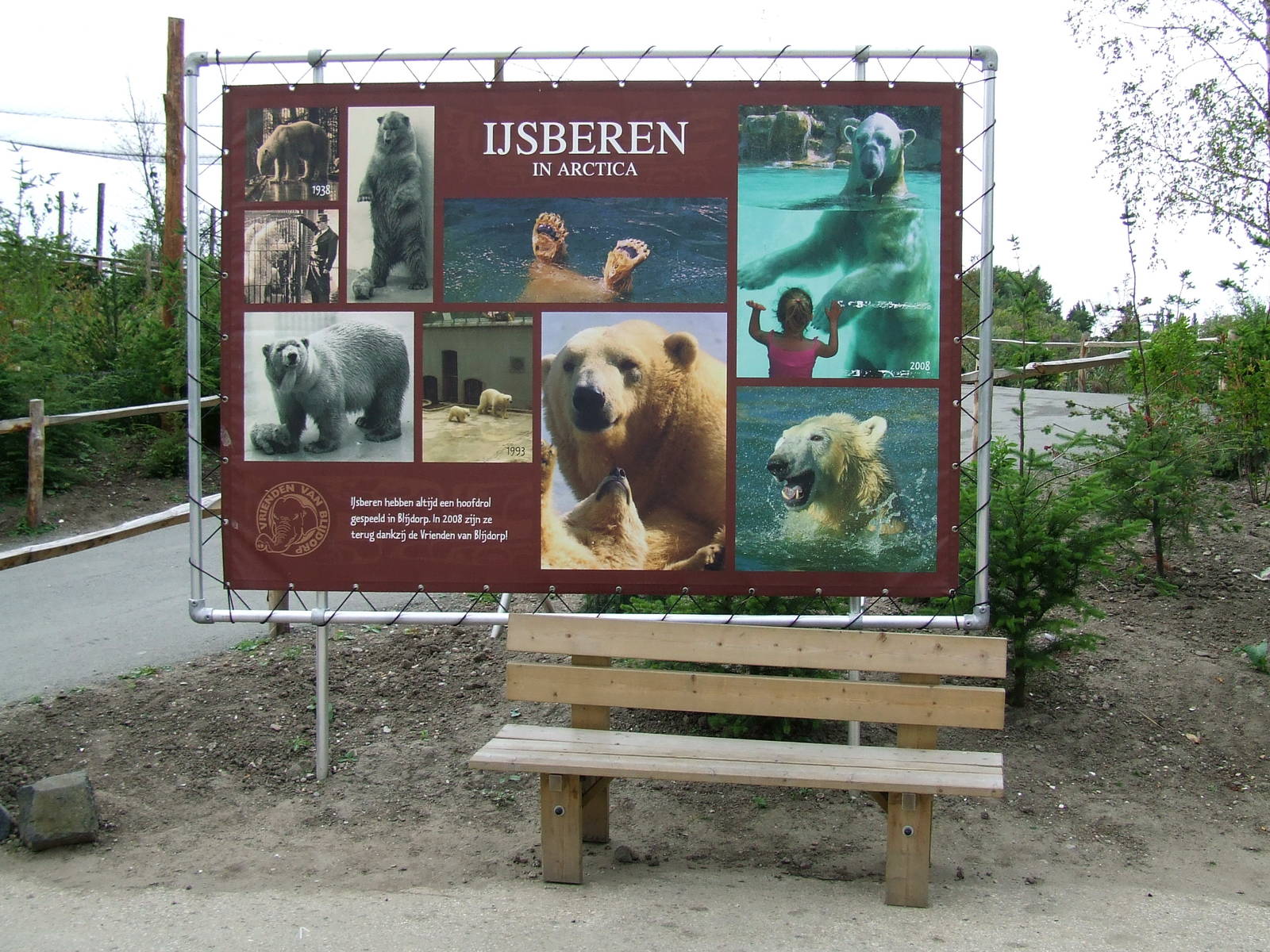 Polar Bears in Arctica
