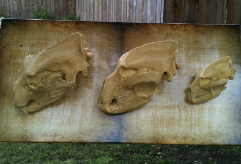Polar, Brown, and Black Bear Skull Molds.