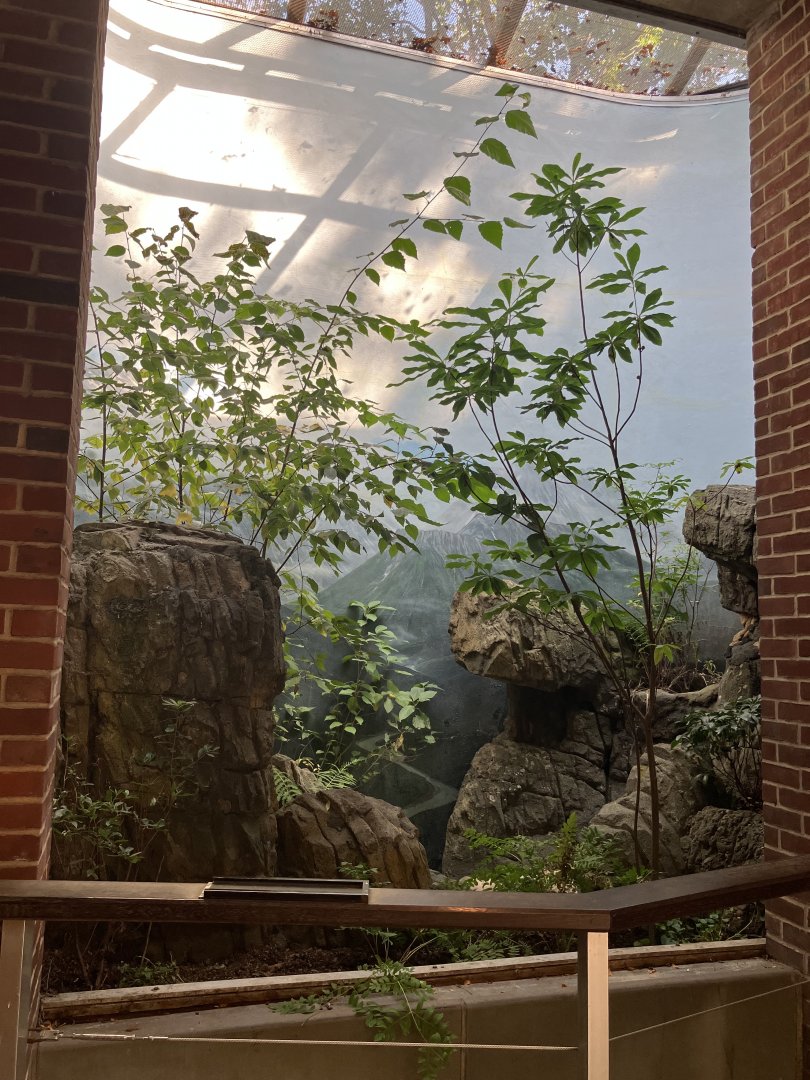 Polar Circle - Former Eurasian Eagle Owl Exhibit