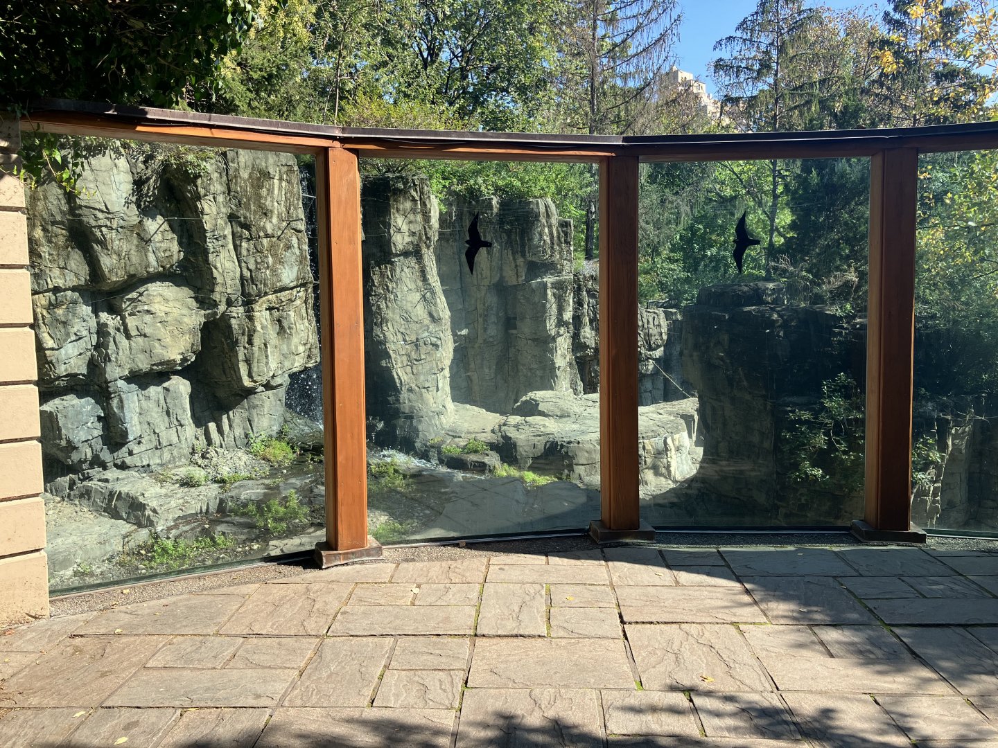 Polar Circle - Grizzly Bear Exhibit Viewing