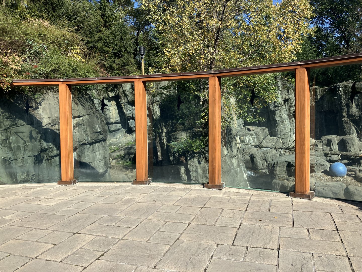 Polar Circle - Grizzly Bear Exhibit Viewing