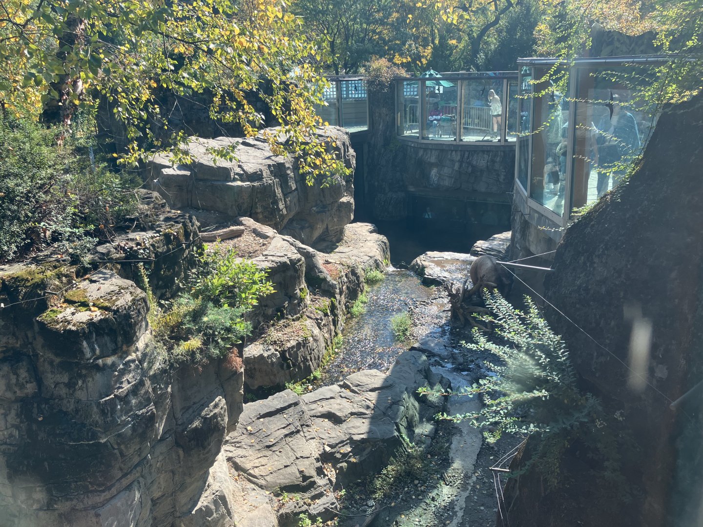 Polar Circle - Grizzly Bear Exhibit
