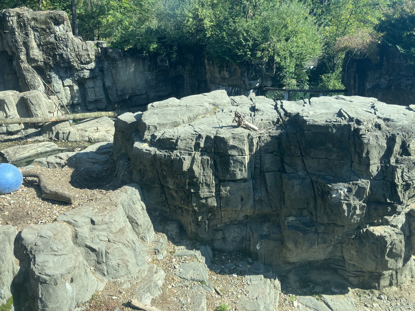 Polar Circle - Grizzly Bear Exhibit