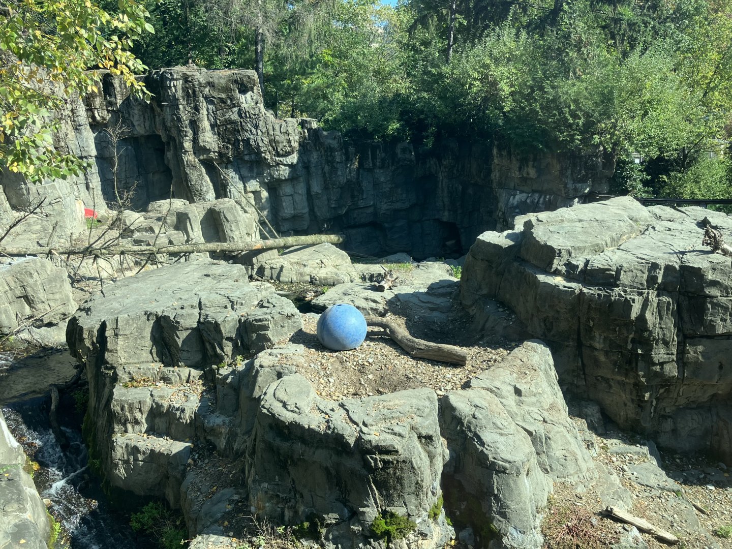 Polar Circle - Grizzly Bear Exhibit