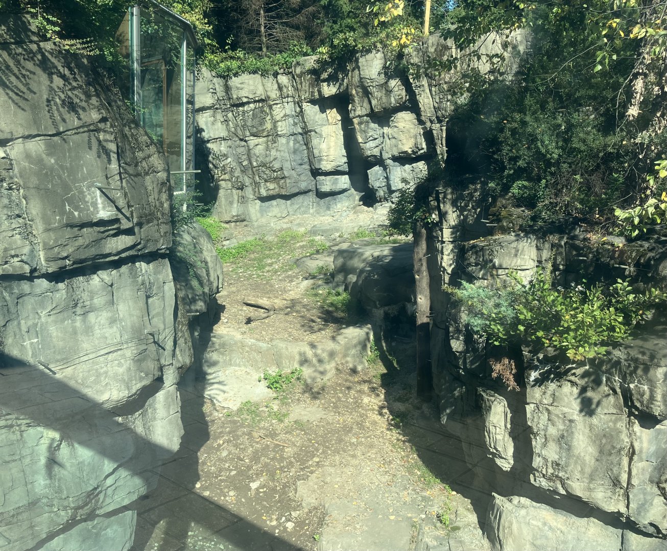 Polar Circle - Grizzly Bear Exhibit