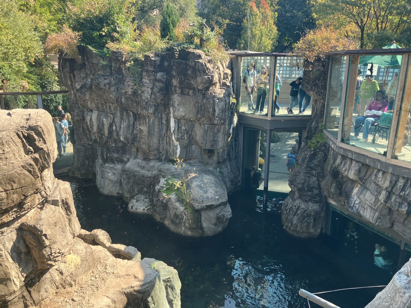 Polar Circle - Grizzly Bear Exhibit