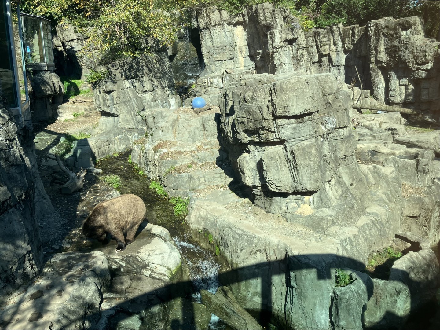 Polar Circle - Grizzly Bear Exhibit