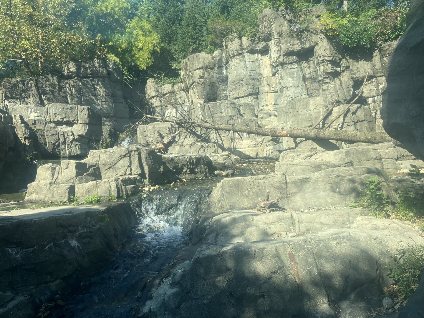 Polar Circle - Grizzly Bear Exhibit
