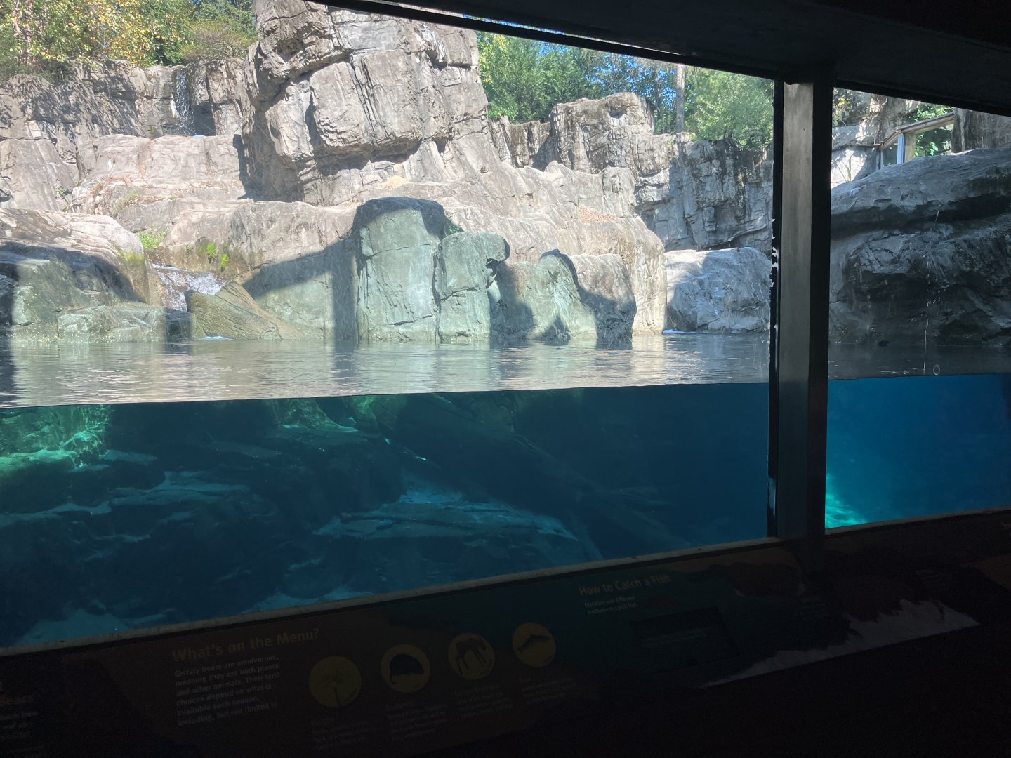 Polar Circle - Grizzly Bear Exhibit