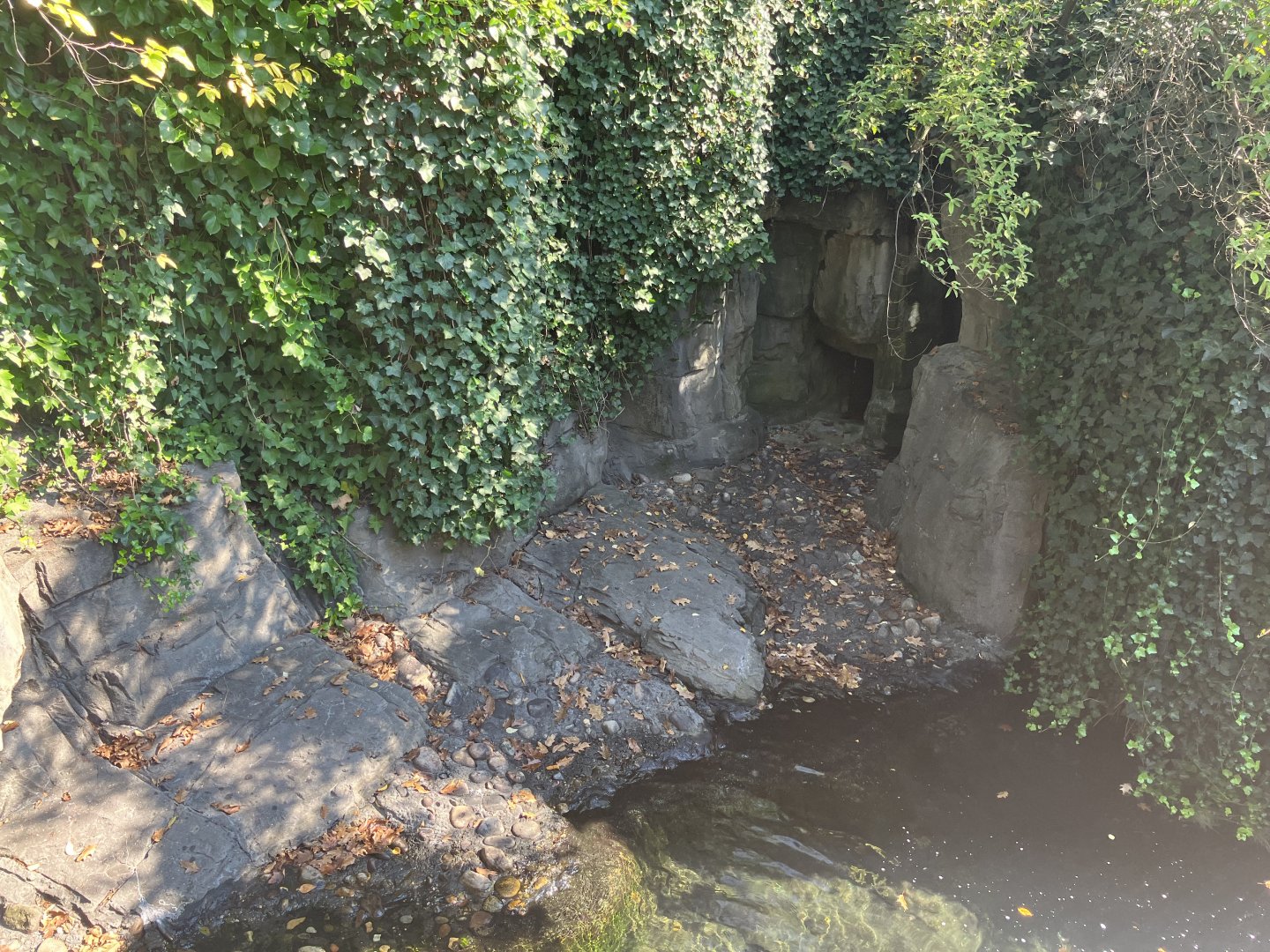 Polar Circle - Harbor Seal Exhibit