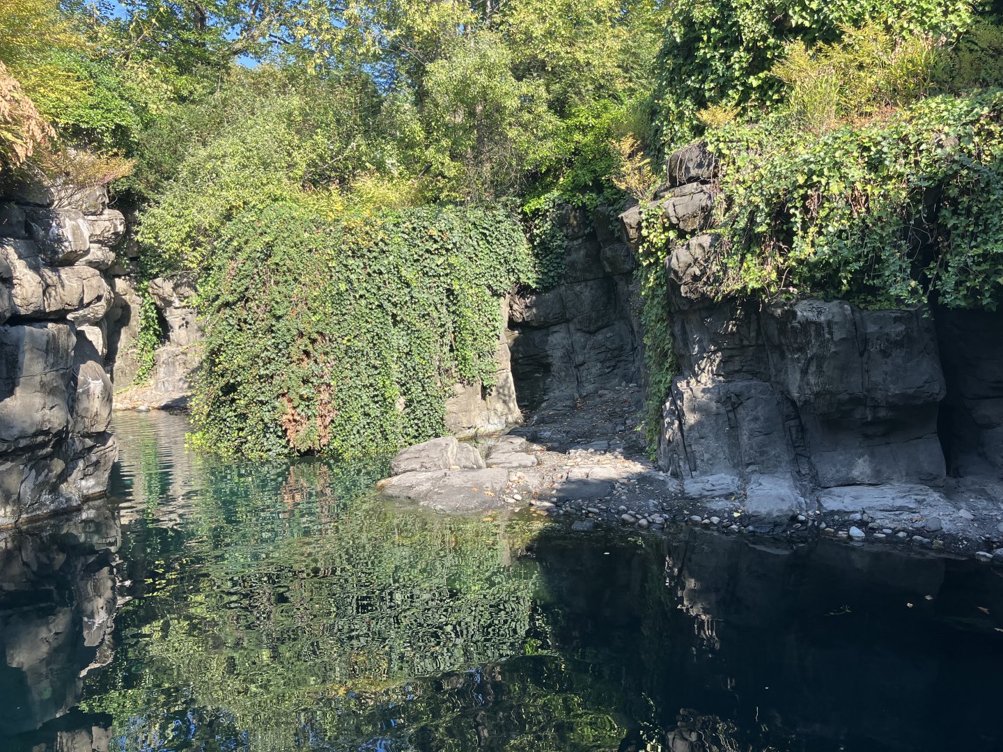 Polar Circle - Harbor Seal Exhibit