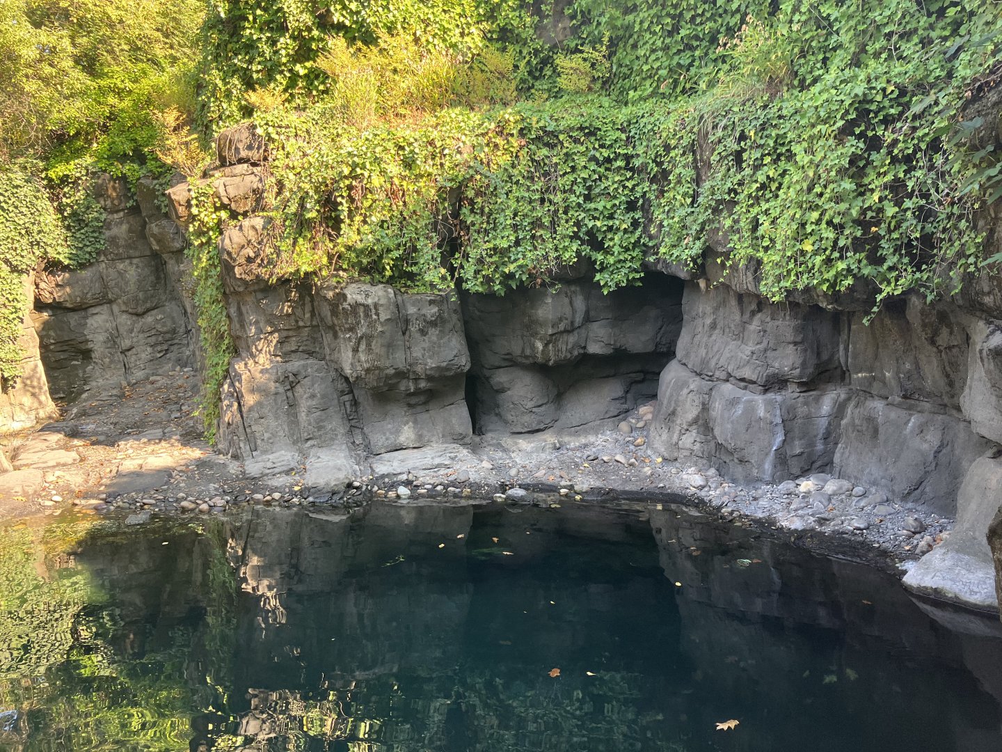 Polar Circle - Harbor Seal Exhibit