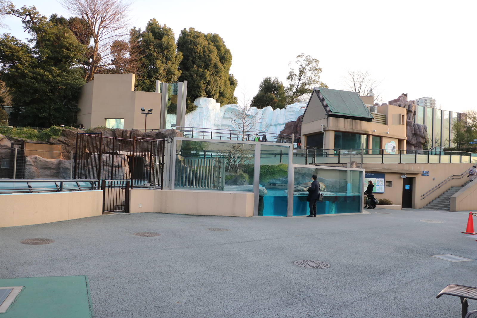 Polar complex, February 2016