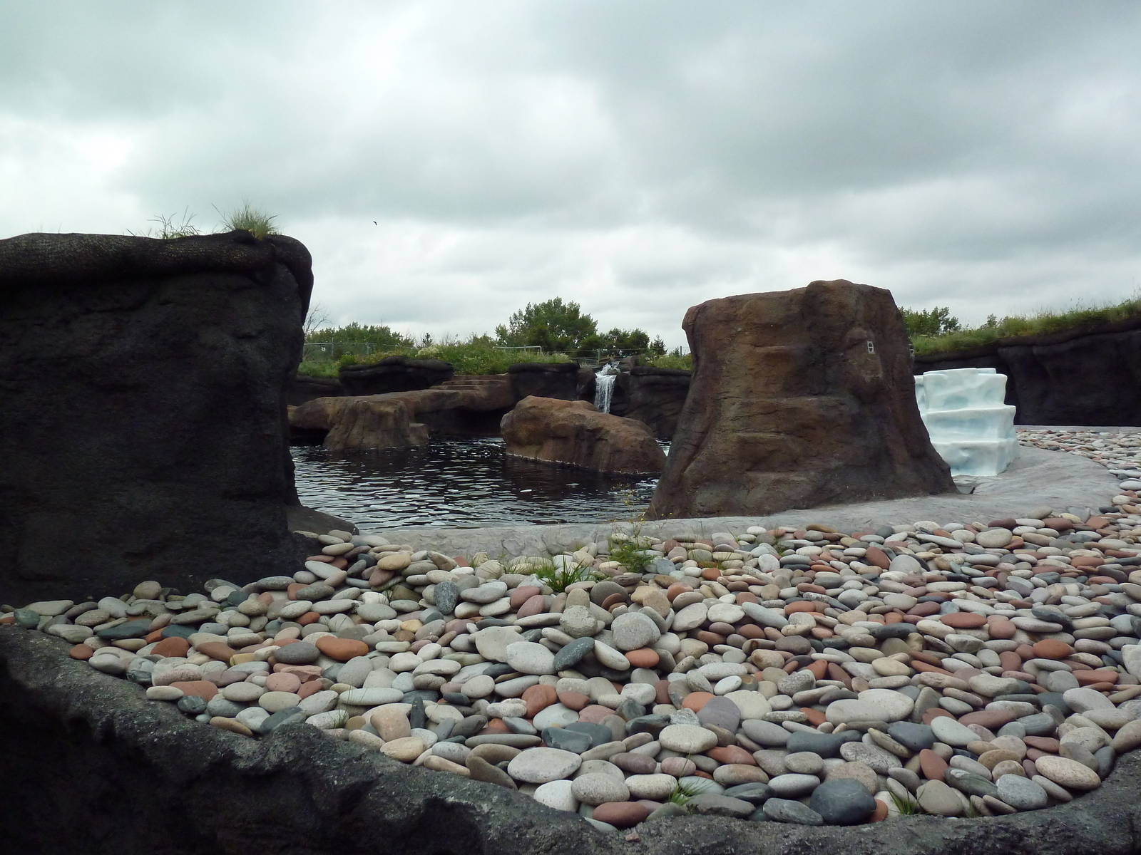 Polar Extremes: Arctic Shores (New in 2012)