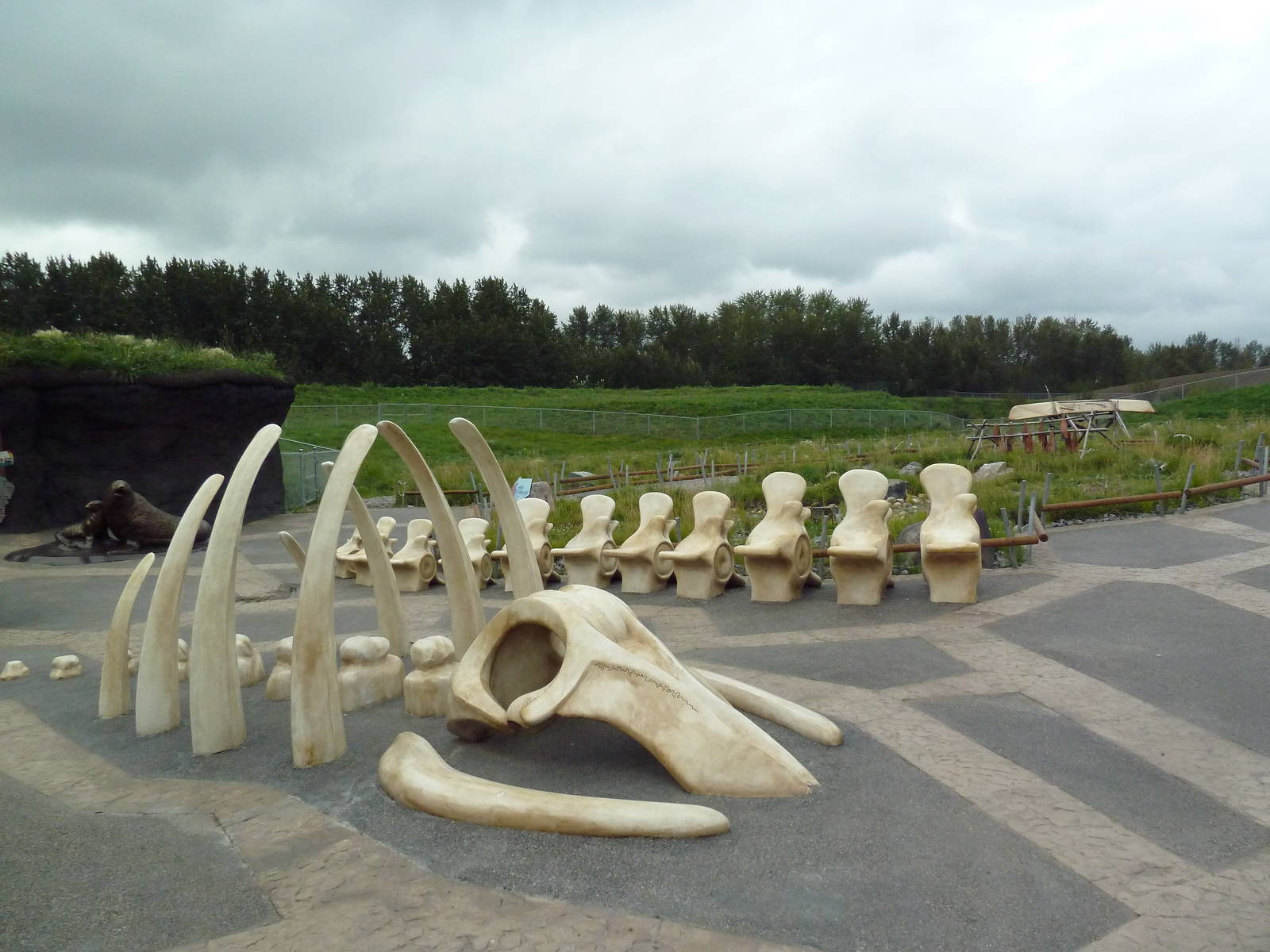 Polar Extremes: Arctic Shores (New in 2012)