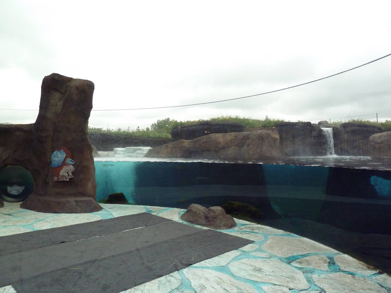 Polar Extremes: Arctic Shores (New in 2012)