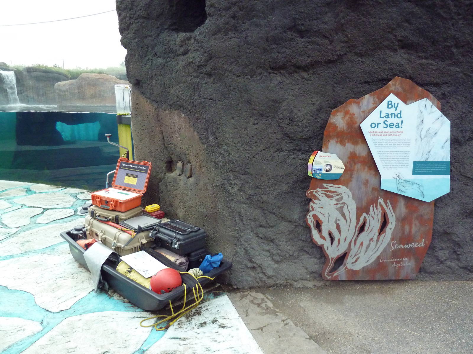 Polar Extremes: Arctic Shores (New in 2012)