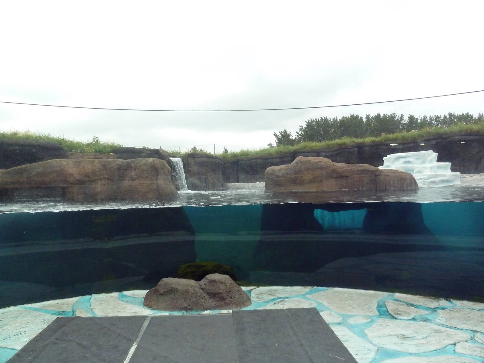 Polar Extremes: Arctic Shores (New in 2012)